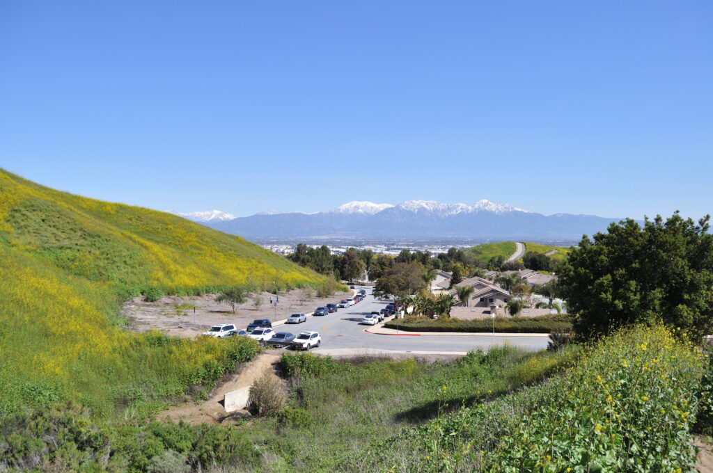 Snow-capped Mount San Antonio viewed from the Chino Hills State Park main entrance