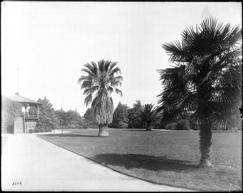 Historic view of palm trees and a gazebo at A.T. White Park in Riverside
