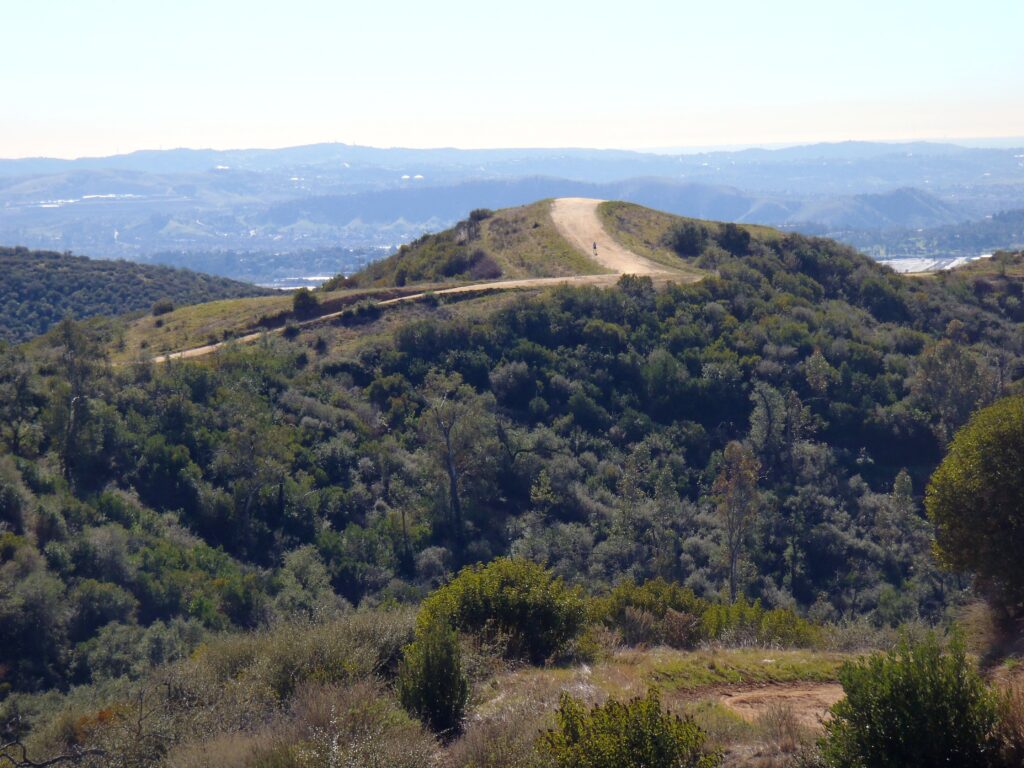 Trail view at Claremont Hills Wilderness Park
