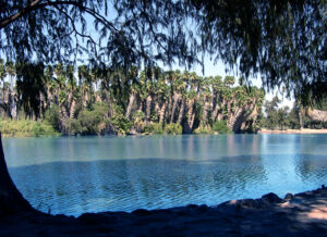 Lake Evans at Fairmount Park in Riverside