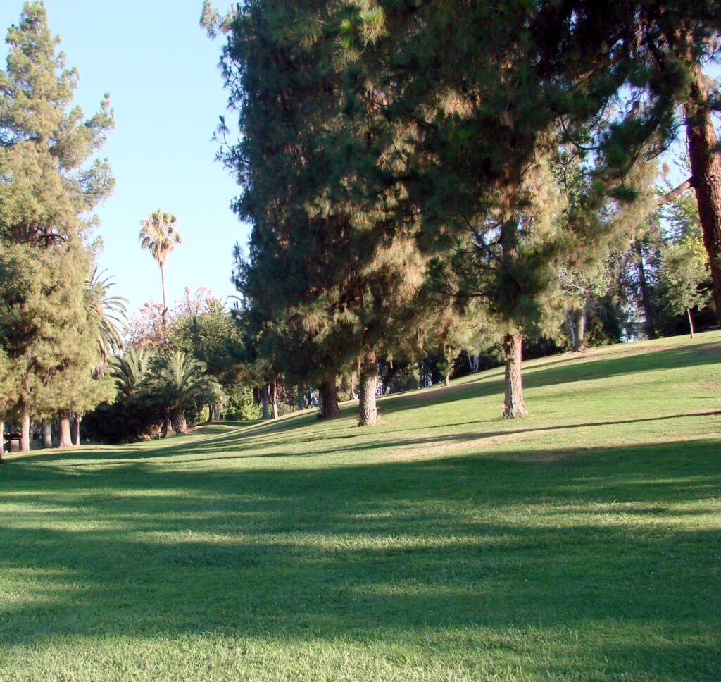 Open lawn and trees at Ford Park in Redlands