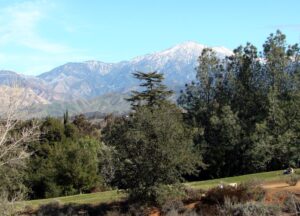 Mount San Gorgonio viewed from Caroline Park in Redlands