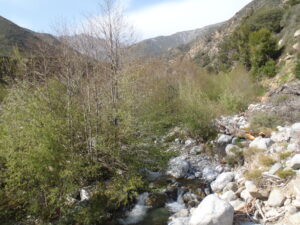 Creek view at North Etiwanda Preserve in Rancho Cucamonga