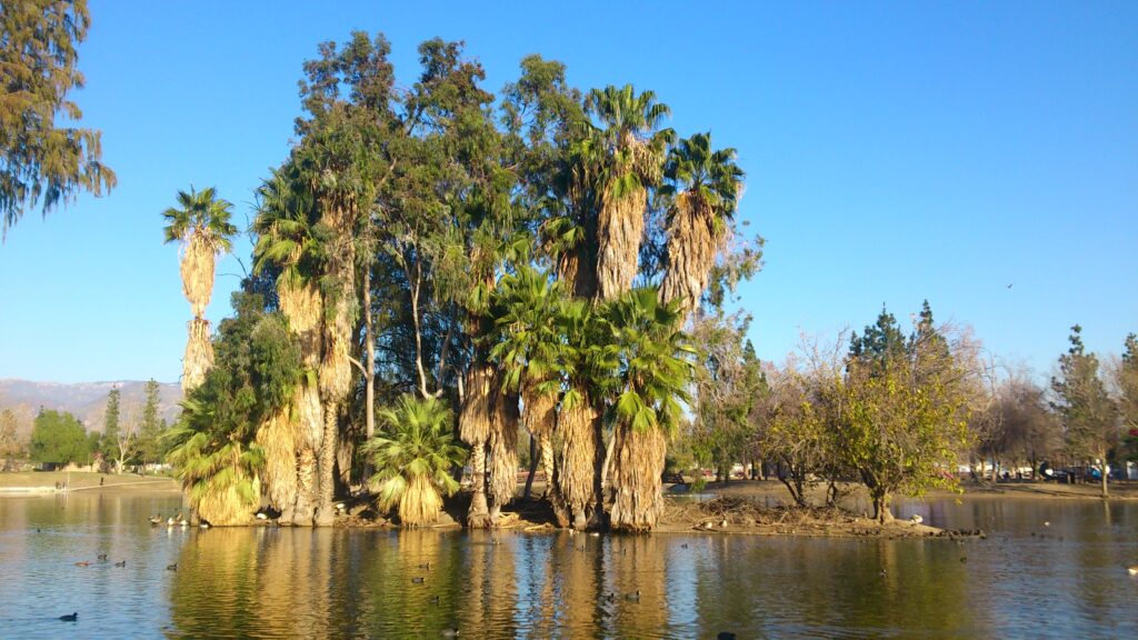 Seccombe Lake Park in San Bernardino California