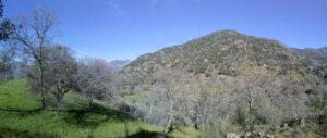 Skyline Drive Trail view in Corona