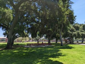 Upland Memorial Park in Upland California in spring
