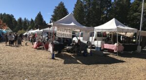 City context image for Running Springs Certified Farmers Market and Artisan Faire in Running Springs, California