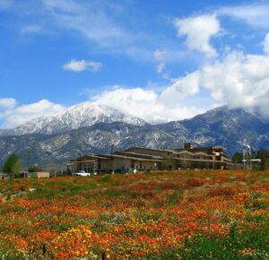 City context image for Countyline Farmers Market in Yucaipa, California