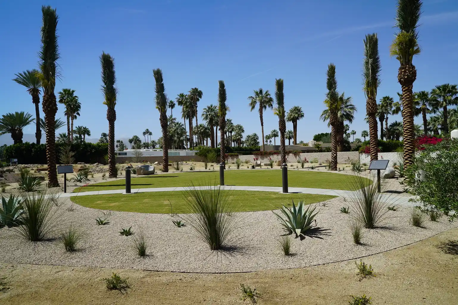 Lawn and palm trees at Fairway Park