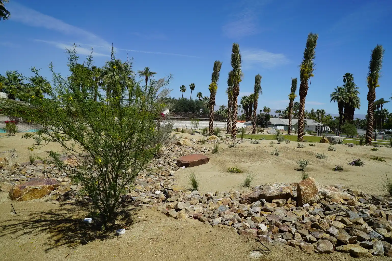 Desert garden and stone-lined landscaping at Fairway Park