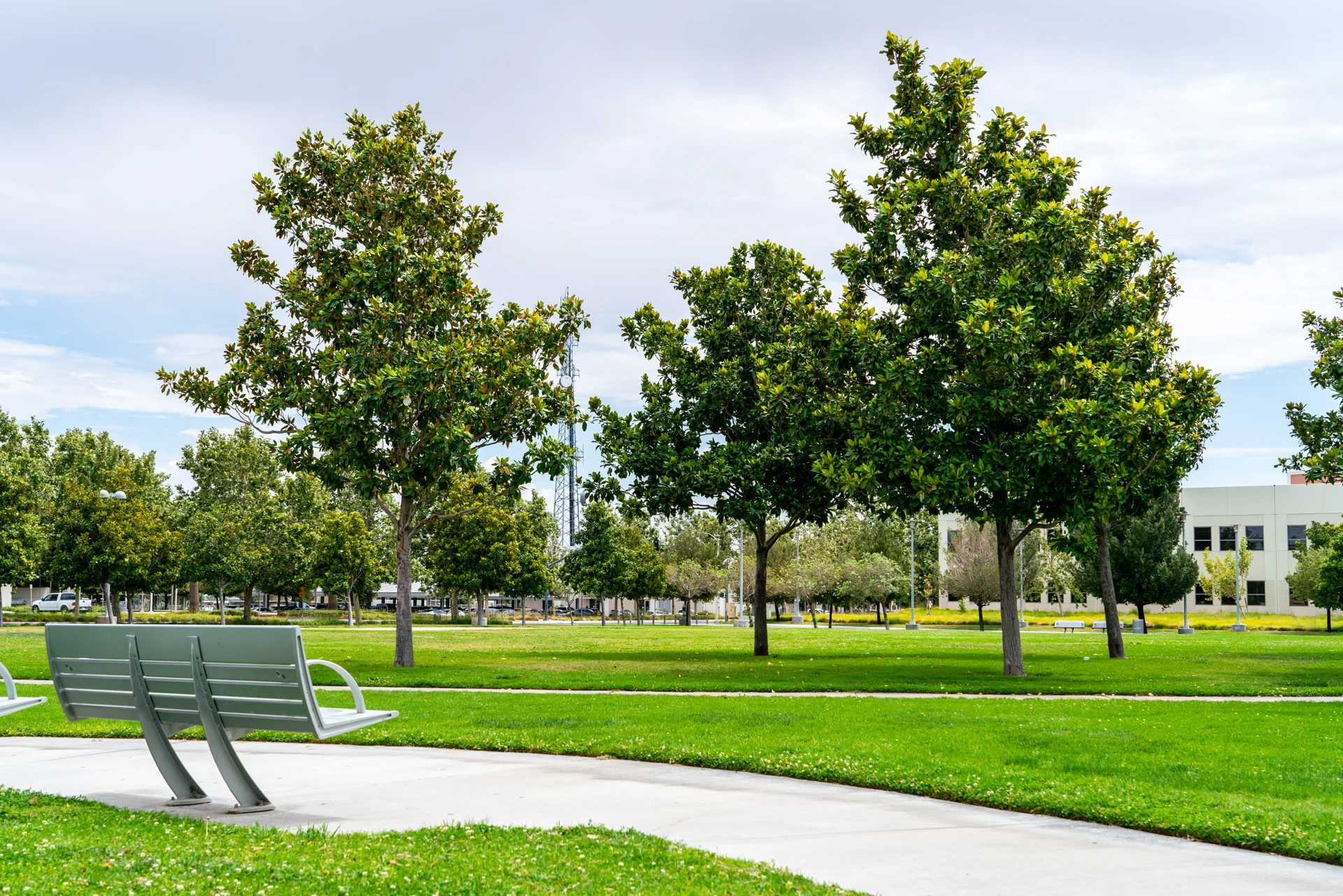 Benches beside the park lawn