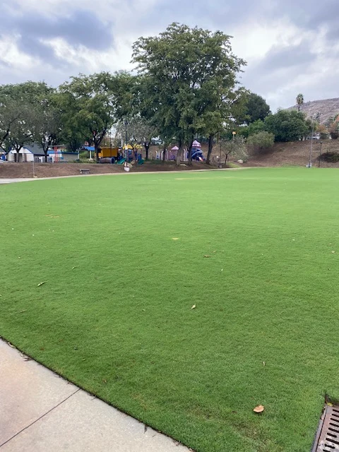 Open lawn at Richard Rollins Community Park