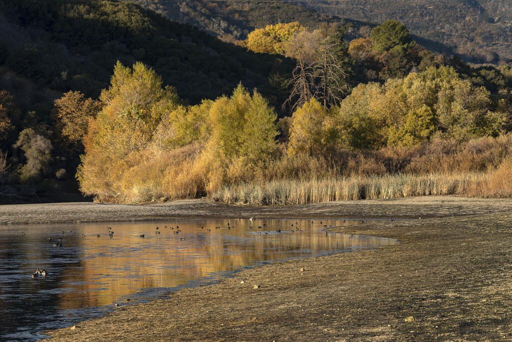 Autumn shoreline at Silverwood Lake