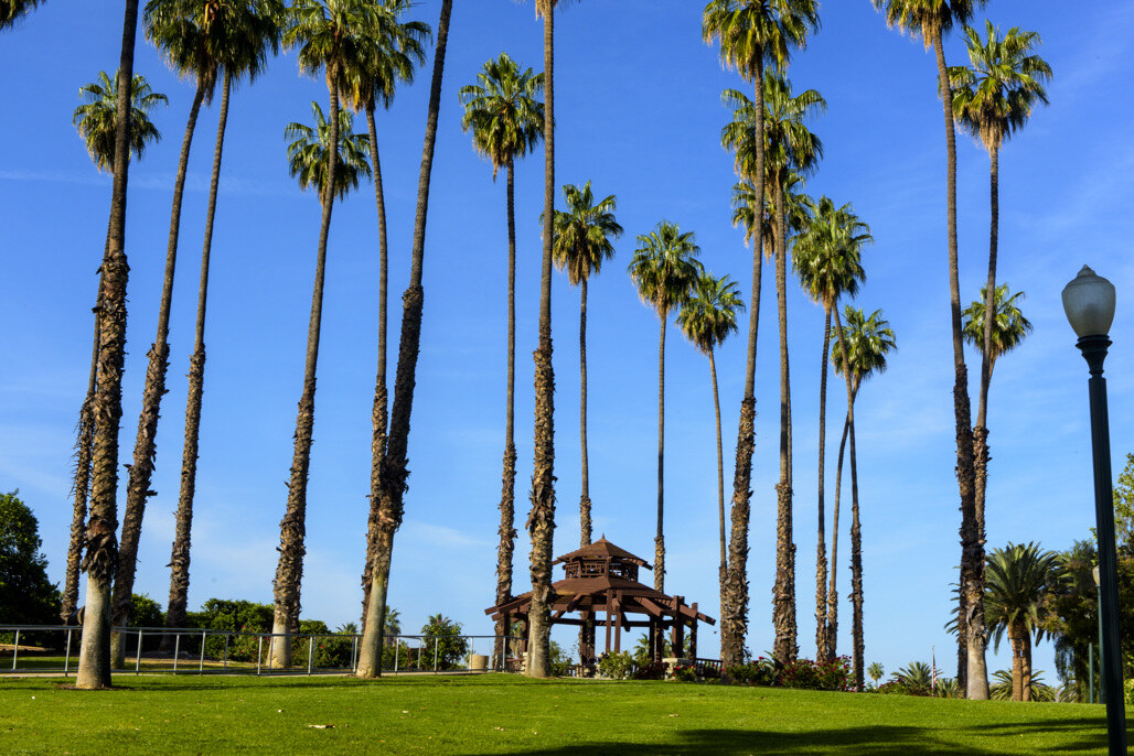 Palm-lined pavilion at California Citrus State Historic Park